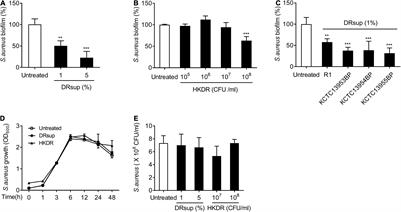 Deinococcus radiodurans Exopolysaccharide Inhibits Staphylococcus aureus Biofilm Formation